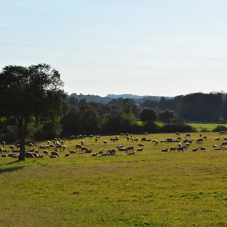 Casas Turismo 4quintas