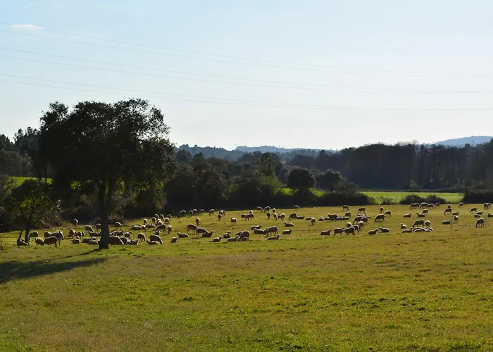 Casas Turismo 4quintas