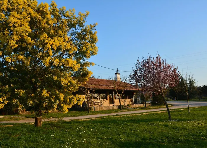 Casas Turismo 4quintas Celorico Da Beira