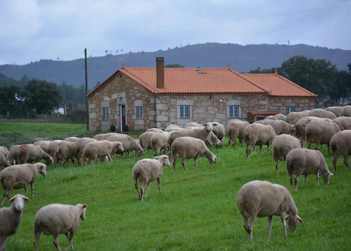 Casa de Férias Casas Turismo 4quintas